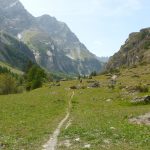 Rive gauche du vallon du Fournel en août