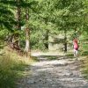 Activité été Serre Chevalier randonnée